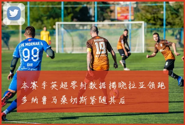 本赛季英超零封数据揭晓拉亚领跑多纳鲁马桑切斯紧随其后