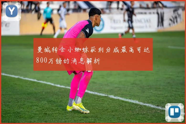 曼城转会小蜘蛛获利分成最高可达800万镑的消息解析