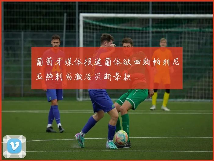 葡萄牙媒体报道葡体欲回购帕利尼亚热刺或激活买断条款