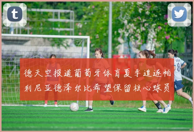 德天空报道葡萄牙体育夏季追逐帕利尼亚德泽尔比希望保留核心球员
